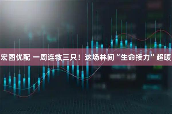 宏图优配 一周连救三只！这场林间“生命接力”超暖